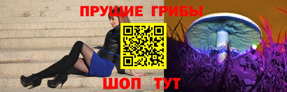 Партизанск  купить закладку  Вход с VPN  Галлюциногенные грибы GOLDEN TEACHER 