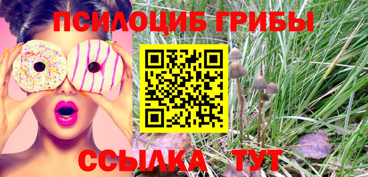 Псилоцибиновые грибы прущие грибы Партизанск